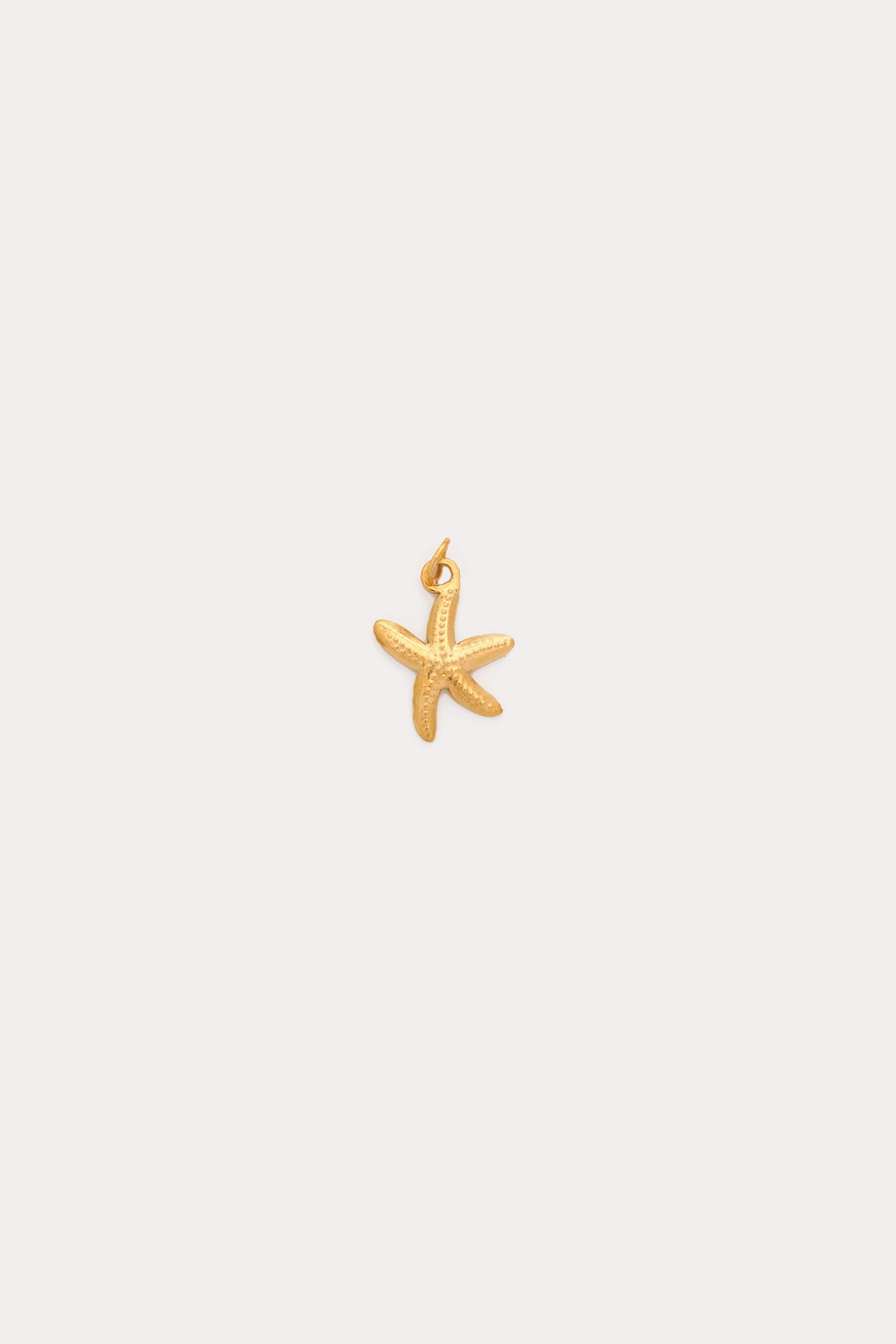 Starfish Charm