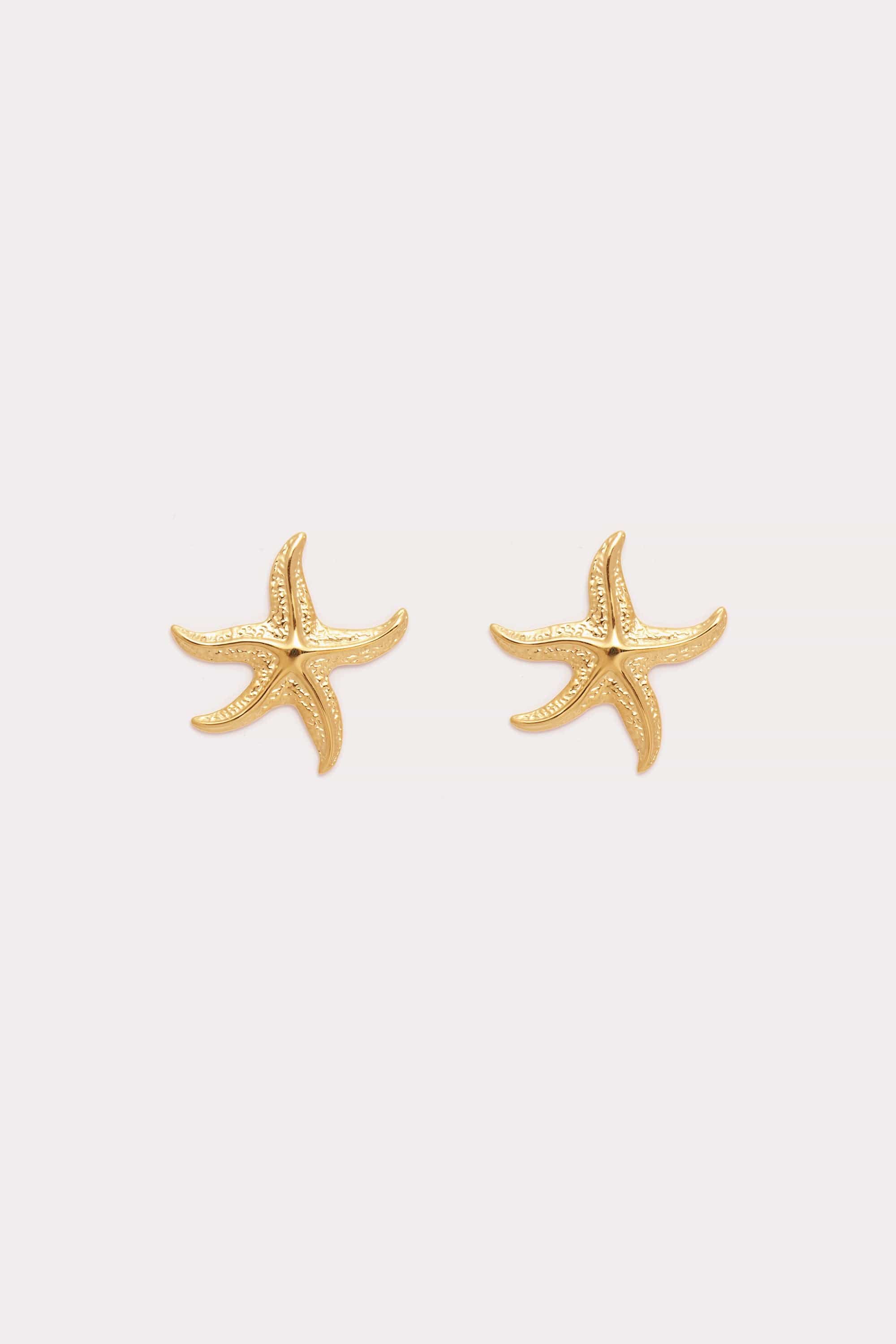 Starfish Earrings