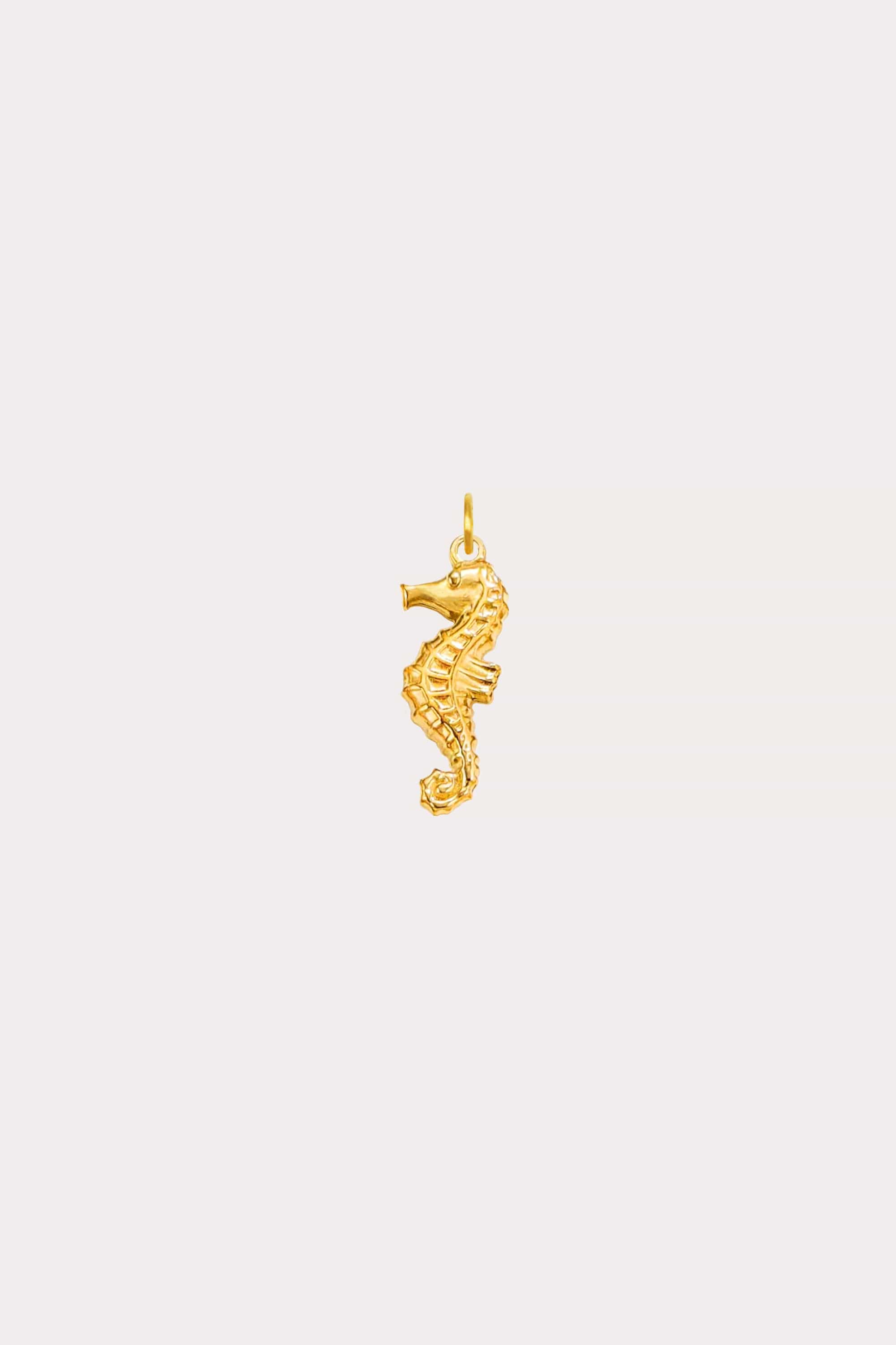 Seahorse Charm