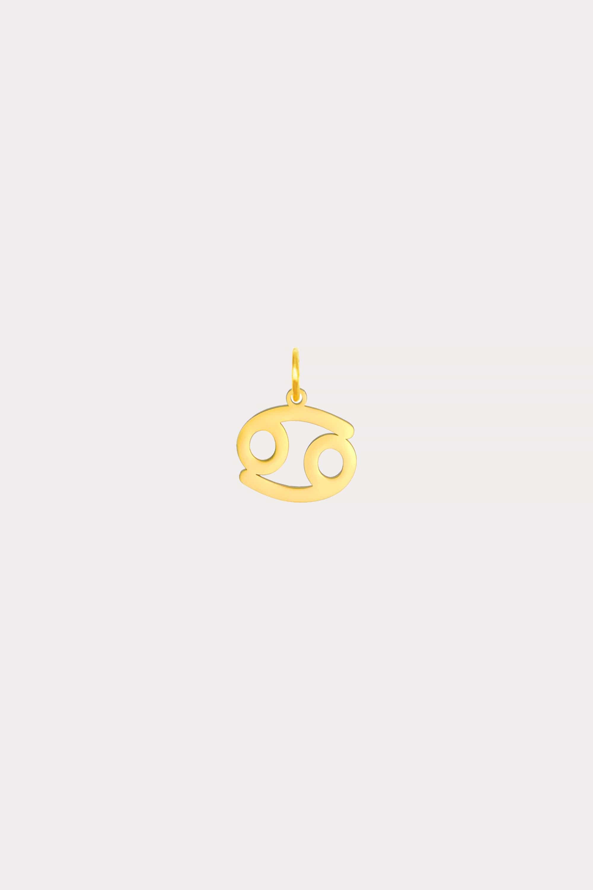 Zodiac Charm