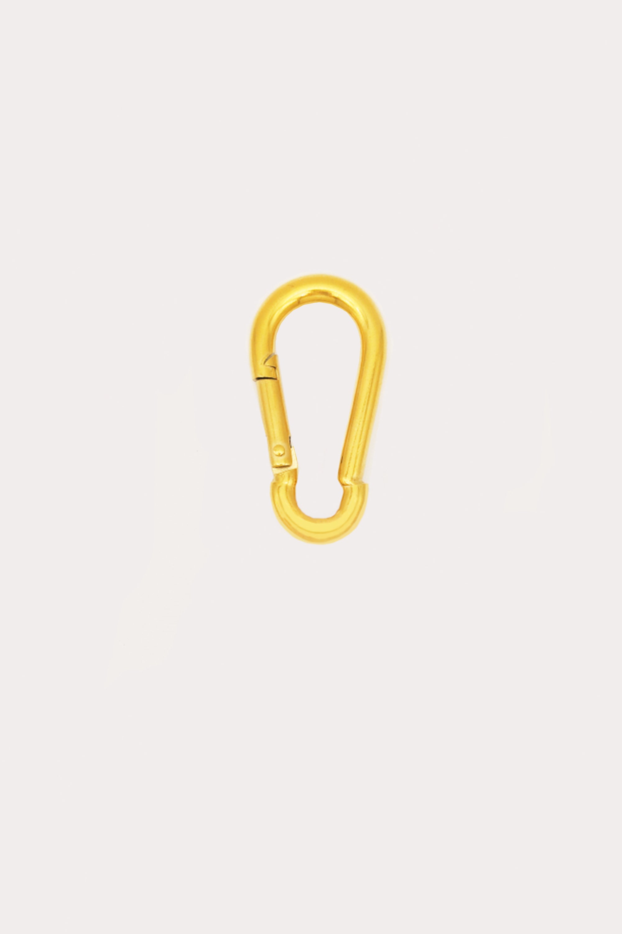 Hinge Carabiner