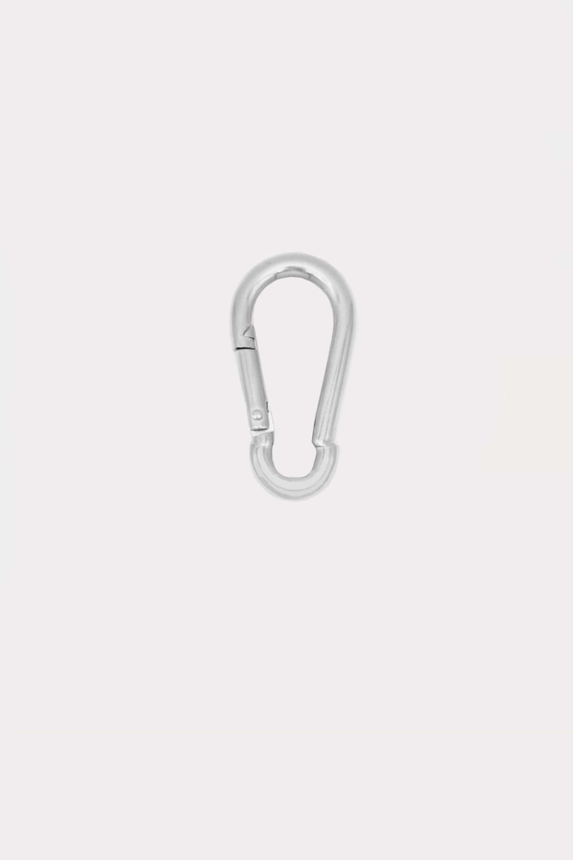 Hinge Carabiner